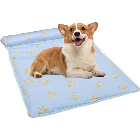 Tapis rafraîchissant robuste pour animaux, idéal pour jeux et activités extérieures (1/5)