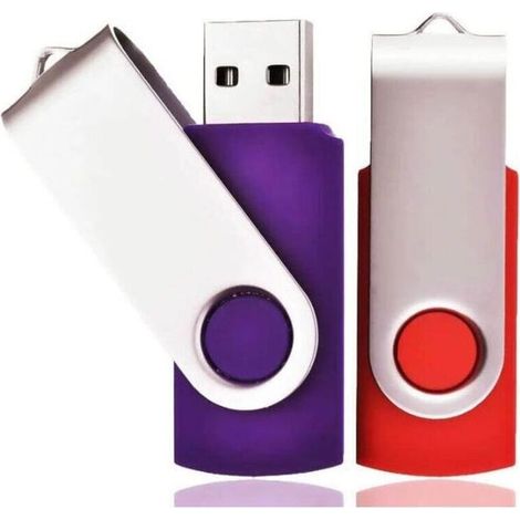 Lot de 2 Clé USB 32 Go USB 2.0 Mémoire Flash Drive Clef USB Pivotantes avec Cordes Bon Cadeau pour Enfant Parents et Amis (32G, Rouge/Violet) (1/5)