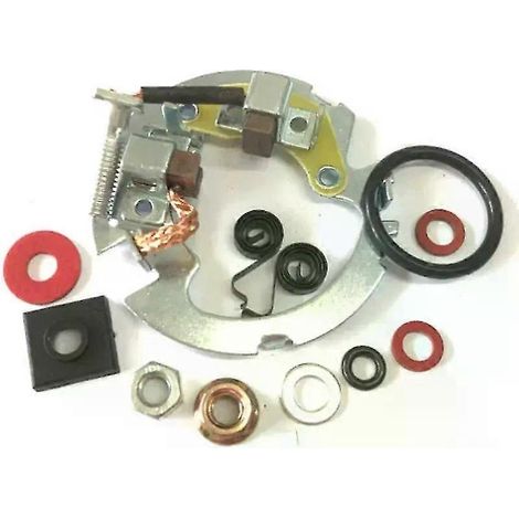 Passend für Suzuki DL650 V-Strom DL 650 SV650 S SV-650 650S Motorradmotor Anlassersystem Kohlebürstenteile-JXLGV (1/5)