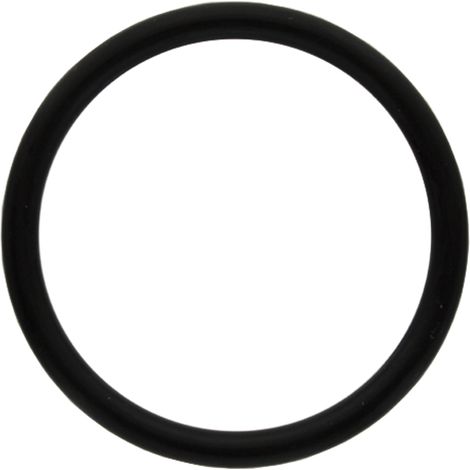 O-ring 59,2 x 5,7 mm Fendt 38006670 GRANITE X548939066000