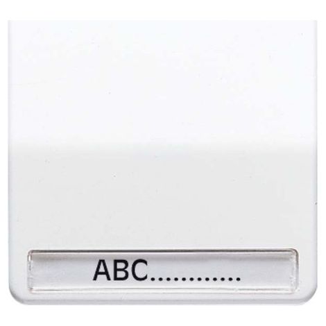 Jung Touche 1gang, avec champ d'inscription, duroplastique, série CD, blanc alpin CD 590 NA WW