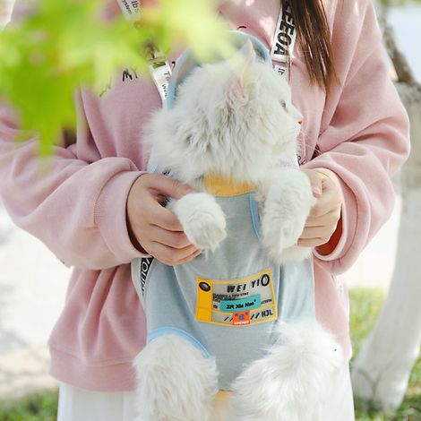 Sac à dos portable pour chat et chien, sortie en extérieur, bandoulière réglable, sac de transport pour petit animal, pochette poitrine, accessoire pratique pour promenade (1/5)