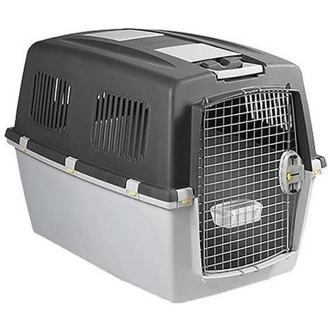 ZOLUX 422113 CESTINO UNISEX PER ADULTI, GRIGIO, GRANDE