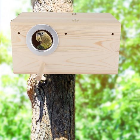 Nichoir en bois résistant pour perruches calopsittes, décoration pour maison d'oiseaux (1/5)