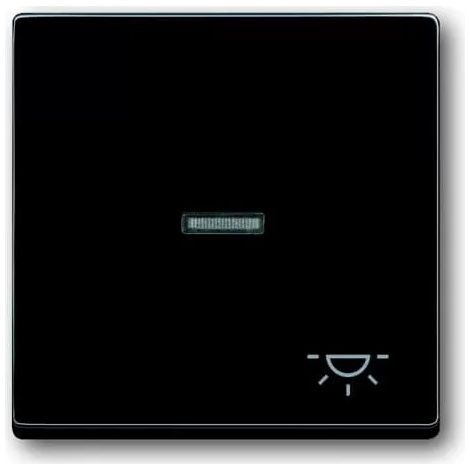 Busch-Jaeger Wippe anth mit Symbol Licht 1789 LI-81 (1/2)