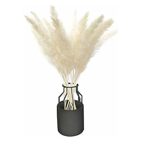 30 Pcs Artificial Flowers Natural Dried Small Pampas Grass Artificial Grass Reed Plume Phragmites Wedding Flower Bunch (White) (1/5)