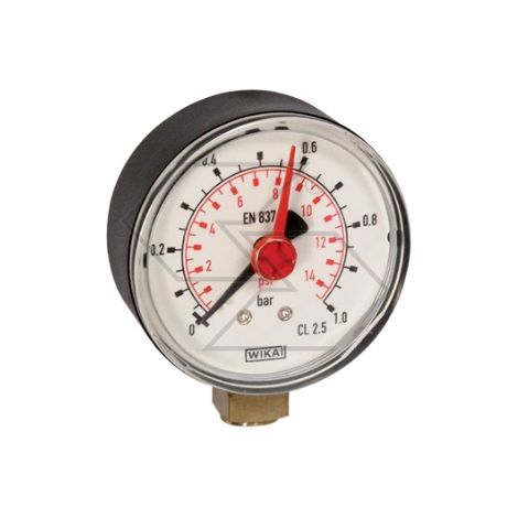 Manómetro de recambio para R124109