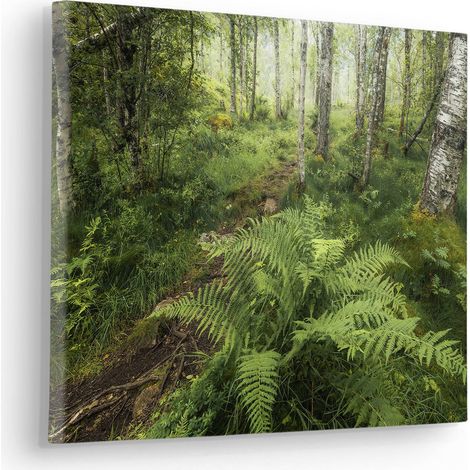 Komar Canvasbild Mystic Birch Grove - 30 x 40 cm - Bild auf Keilrahmen - Naturmotiv (1/2)