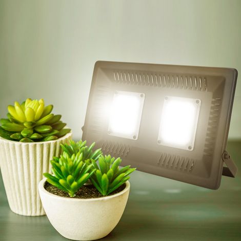 EU-Stecker 220V 100W LED-Pflanzenlampe für den Innenbereich mit Vollspektrum-COB-Technologie (1/5)