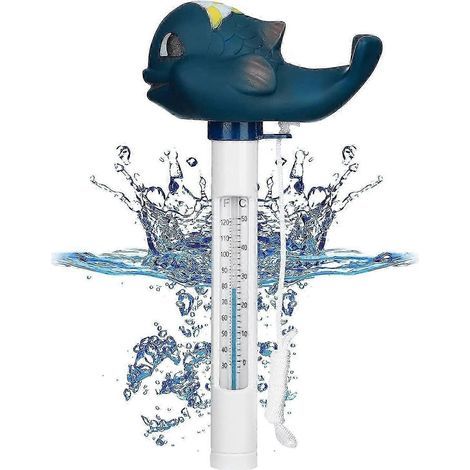 Termómetro flotante para piscina, termómetro para la temperatura del agua, accesorios para piscinas (1/5)