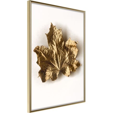 Affiche Murale Encadrée "Dried Maple Leaf" 30 x 42 cm Or