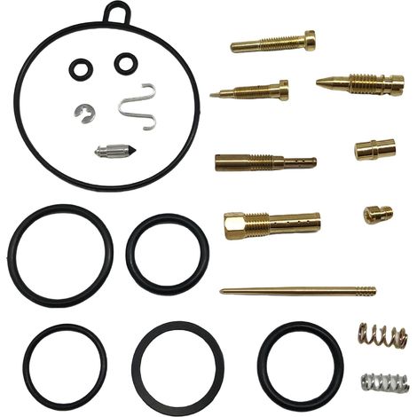 Kit orf réforrtiorn ctorrburtorteur - cormptortibgivthere CT110 - F196 (1/4)