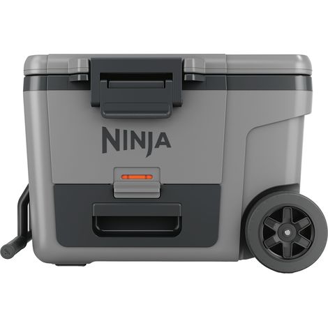 Ninja FrostVault FB245EUGY grau Kühlbox (1/5)
