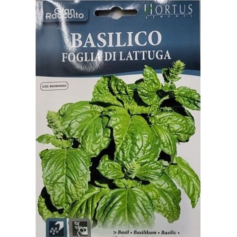 Basilico foglia di lattuga Gran Raccolto
