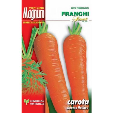 SEMI CAROTA FLAKKEE 2 BUSTA MAGNUM