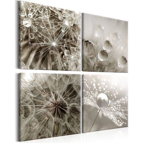Quadro - Grey Dandelion - 40x40 (1/4)