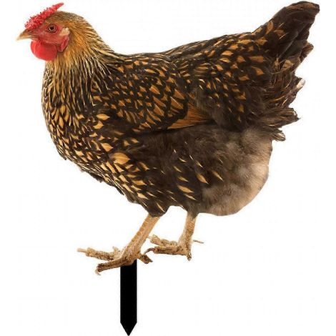 Décoration de jardin réaliste en acrylique représentant une poule, idéale pour une ferme.-Style C