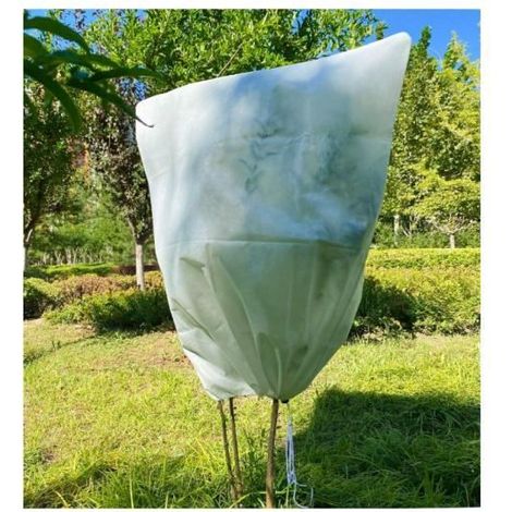 Garden Tailor Pflanzenschutzhülle - Wintervlies 80x100 cm - Beige - Frost- und UV-beständig