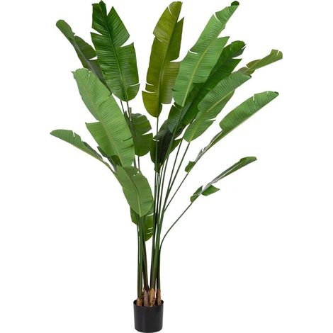 Sterlitzia decorativa artificial con 18 hojas verde 95x95x240