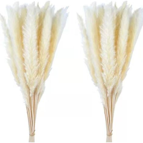 30 pièces de petites fleurs séchées Pampas Herbe décorative pour Noël DIY Bouquet blanc décoration intérieure