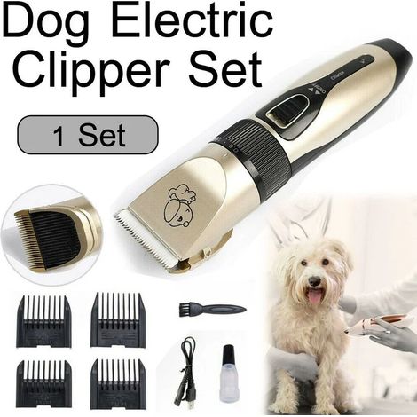Machine de toilettage électrique professionnelle pour chiens et chats, pour la coupe et l'entretien réguliers à domicile.-AquaForge