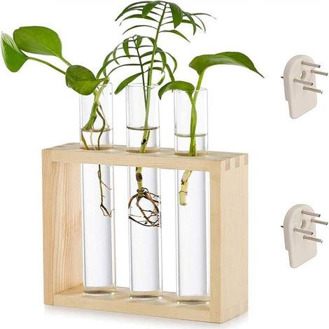 Filiyano – Support mural transparent pour tubes à essai, support en bois avec pot en verre, pour plantes hydroponiques. (1/5)