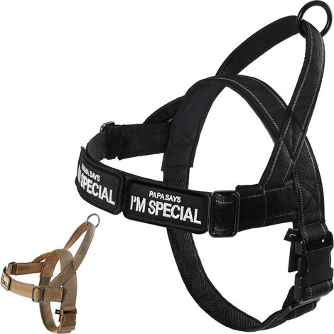 Harnais réglable pour chiens de petite, moyenne et grande taille, réfléchissant, anti-fuite, sans traction, pour chasse, entraînement en plein air, noir, S (1/5)