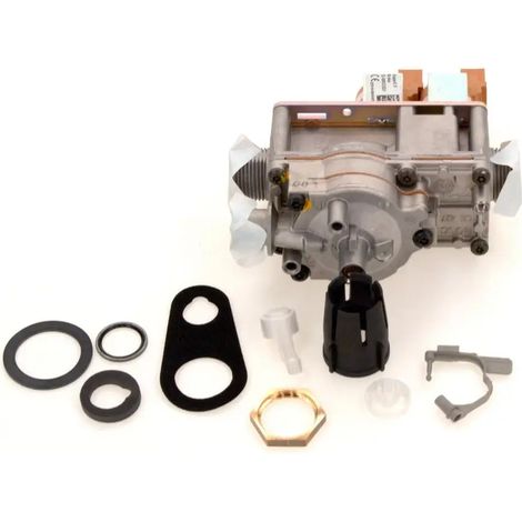 BOSCH Válvula de gas, 8738717458