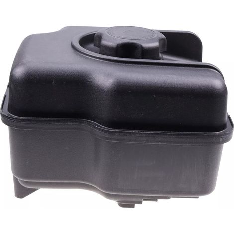Briggs & Stratton original carbon reservoirs Compatible with references 799863, 694260, 695736, 698110 Replacing the carburettor reservoir for small engines (1/5)