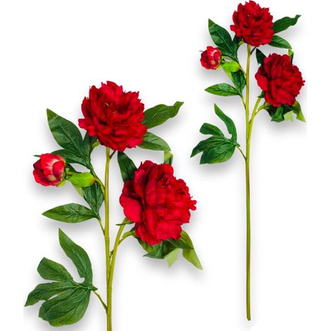 Gummizweig - Rote Pfingstrose 80 cm (1/5)