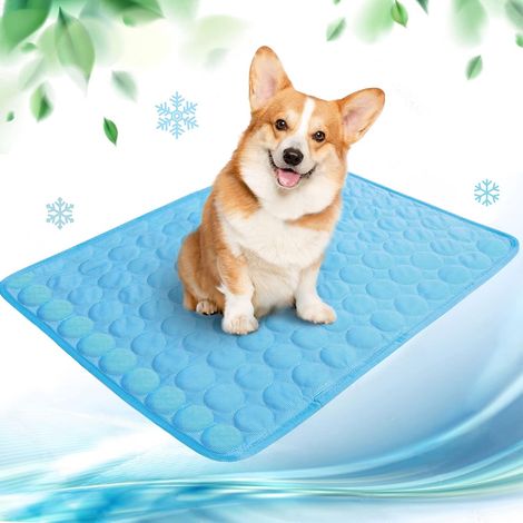 Tapis rafraîchissant pour chien, tapis rafraîchissant pour chat, couverture rafraîchissante (1/5)