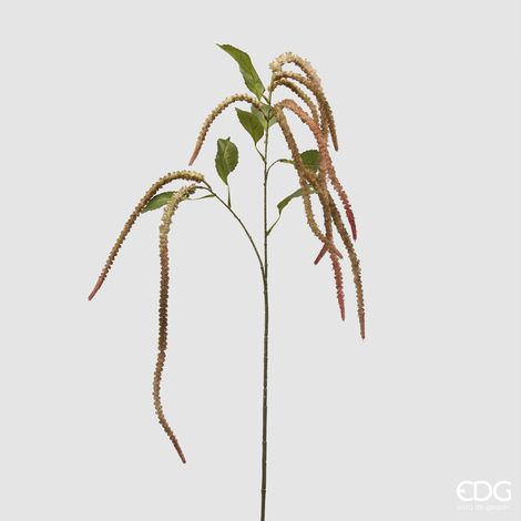 EDG Amaranthus Ramo H130