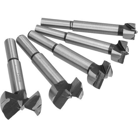 Set mit 5 Hartmetallbohrern für Holzbearbeitung und Bohrarbeiten (1/5)