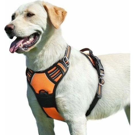 Pettorina antistrappo per cani, regolabile, riflettente, facile da indossare, con maniglia di controllo, traspirante, resistente, adatta a cani di taglia media e grande. (1/5)