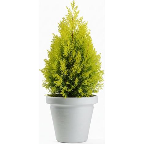 Maceta Srtia Riflo blanca, 47,9 x 55 cm.