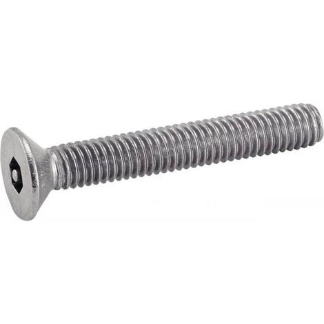 100 Vis Tête Fraisée Six Pans Creux Inviolable avec Téton Central 5 x 30 mm - TYPE DIN 7991 - Inox A2 - D-Work