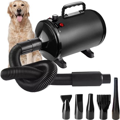 Pulseur Chien Sèche-Cheveux pour Chien Blower Professionnel Souffleur Silencieux 2800W Sèche-Cheveux pour Animaux avec 4 Buses Différentes, Vitesse et Température Réglable