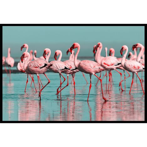 Affiche encadrée flamants roses en groupe (1/5)