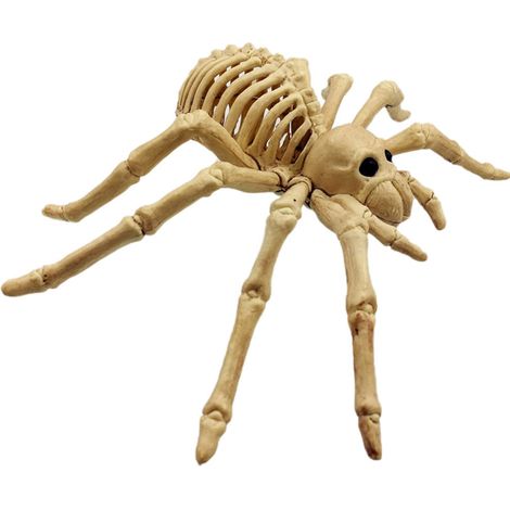Gruseliges Spinnenskelett-Modell – Realistische Halloween-Dekoration (1/5)