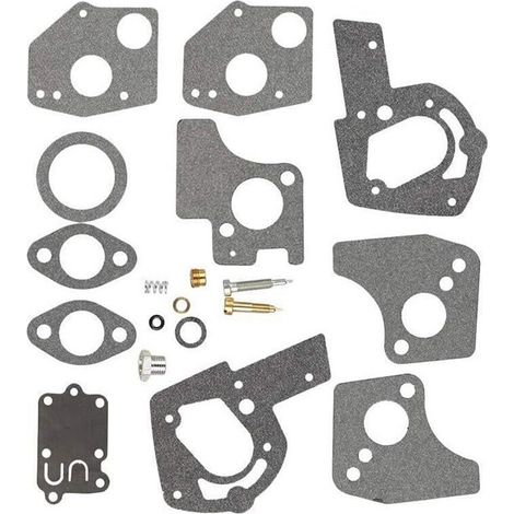 Kit de réparation de carburateur compatible avec Briggs & Stratton 494624  495606  130202  130293. (1/5)