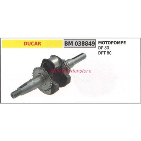 Cigüeñal Bomba motor DUCAR DP 80 DPT 80 038849
