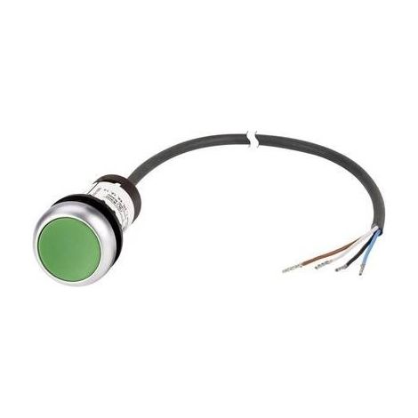 Eaton 185670 C22-D-G-K10-P62 Pulsante piatto Verde 1 pz. (1/2)