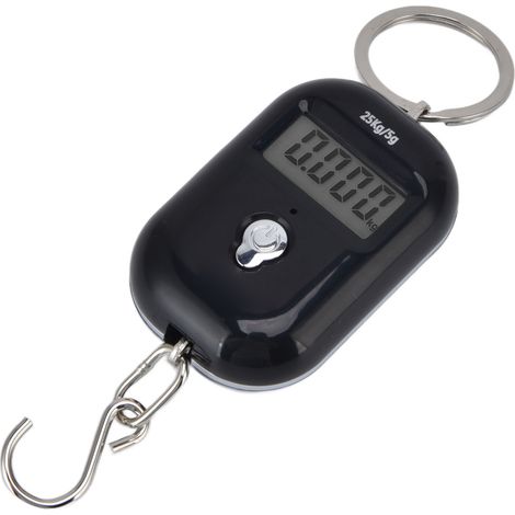 Balance à bagages portable avec poignée porte-clés, 25 kg, balance numérique suspendue noire pour le secteur de la livraison express (1/5)