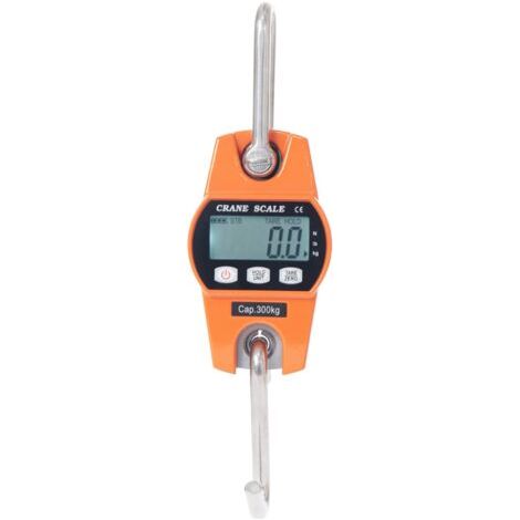 Hängende Hakenwaage 300 kg – Industrielle LCD-Elektronikwaage 300 kg/600 lbs (1/5)