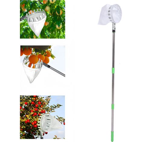 [Recolector de fruta] Recolector de fruta de alto rendimiento de Allied con mango largo, 10 segmentos extensibles de hasta 4,2 m y bolsa recolectora para fruta alta (16 cm de diámetro). (1/5)