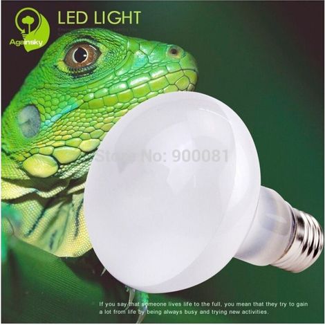 Lampe solaire pour reptiles, tortues, terrariums, animaux, rayons UVA et UVB, 100 W -