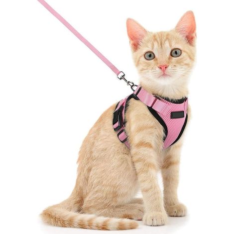 Harnais pour chat réglable avec laisse de 150 cm, sécurité pour petits moyens, grands, chiots, chats, harness pour marcher, voyages, S, rose (1/5)
