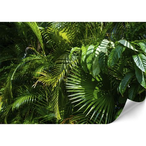 Carta da parati standard in tessuto non tessuto - 100 x 70 cm - stile giungla - natura Carta da parati premium in tessuto non tessuto - 250 x 175 cm - stile giungla - natura