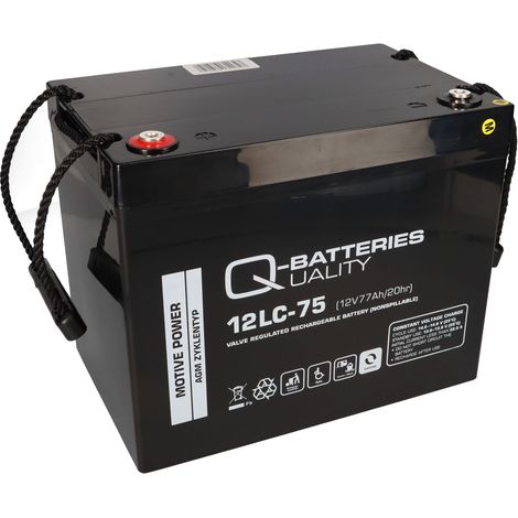 Akku kompatibel E-Mobil Shoprider 2x 12V 75Ah (77Ah) (1/5)