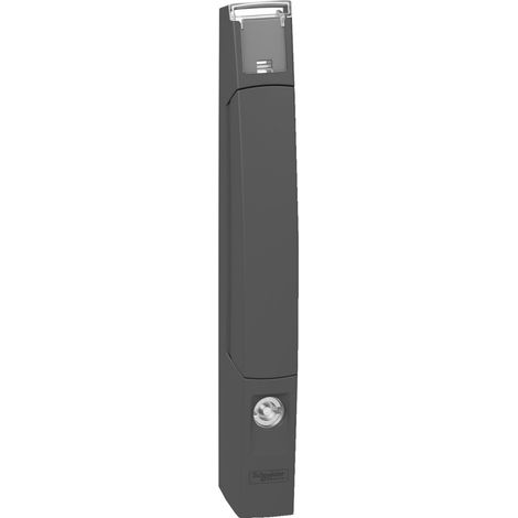 Poignée standard pour porte de coffret Spacial SF/SM (1/4)